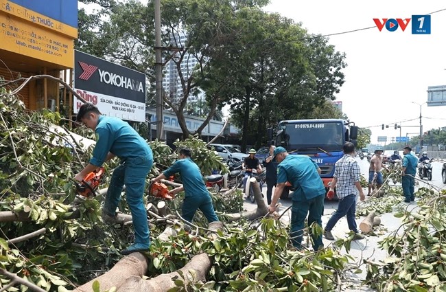 Hà Nội: vệ sinh môi trường sớm trả lại cảnh quan Xanh, sạch, đẹp như những ngày trước mưa, bão (15/09/2024)